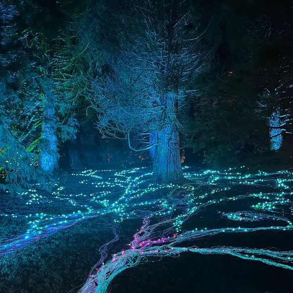 Meet your Posher, Nicole - Picture 2 of 2